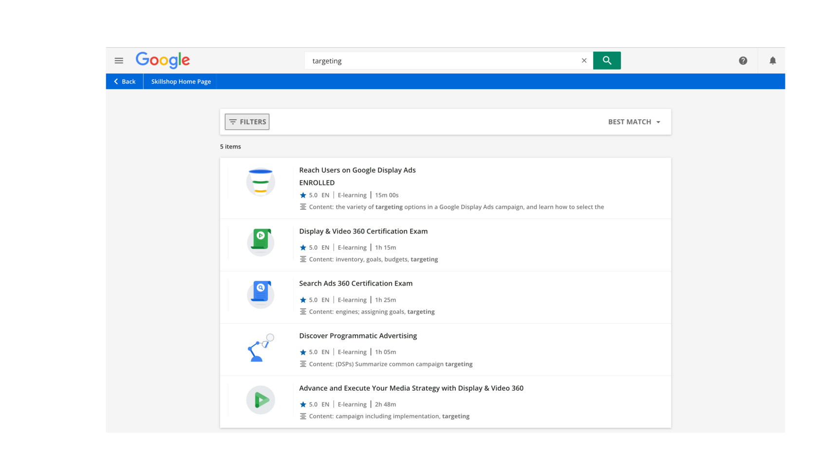 Google Ads Audience Targeting